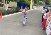 img (2)